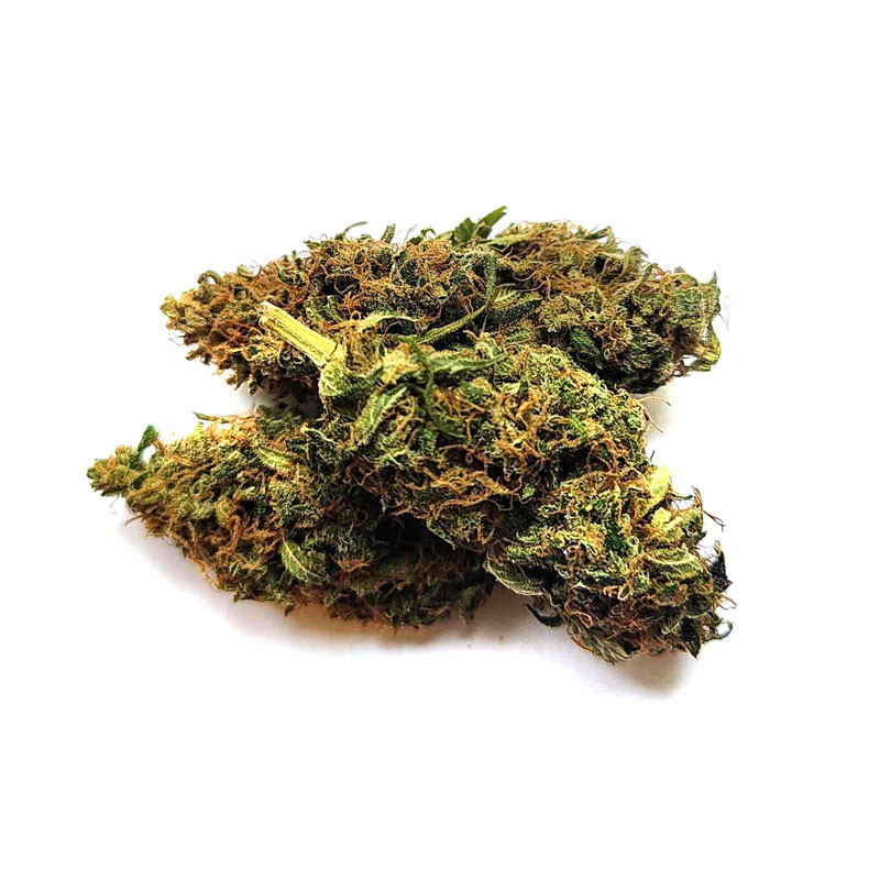 Susz CBD ≈ 9%, CBDV ≈ 3%, THC ≈ 0,22%, – Cannabis 5g, BioHemp