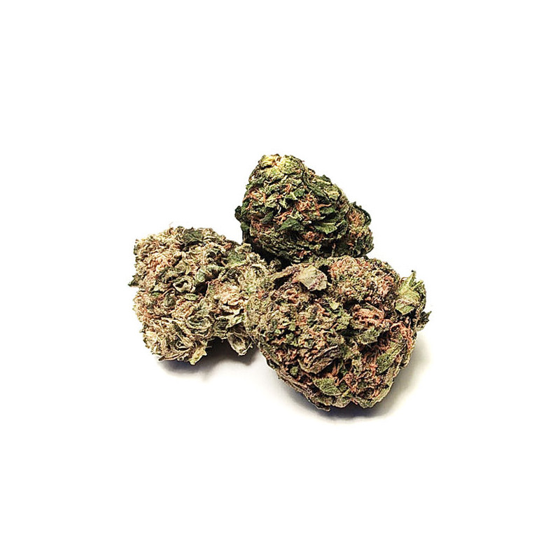 Susz CBG ≈ 4%, CBD ≈ 6%, THC ≈ 0,26%, - Cannabis 5g - BioHemp