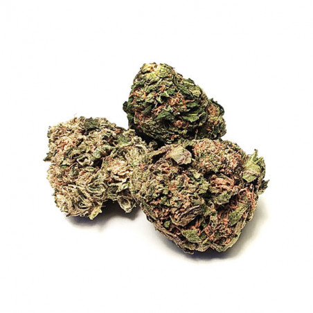 Susz CBG ≈ 4%, CBD ≈ 6%, THC ≈ 0,26%, - Cannabis 5g - BioHemp