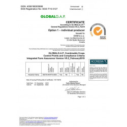 Ekstrakt CBG Synergia 30%, 10ml, BioHemp